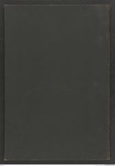 k.k. naturhistorisches Hofmuseum, Protokollbuch Intendanzakten 1899, Seite 82
